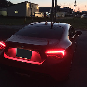 86 ZN6