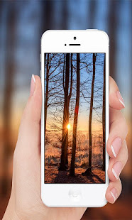 Sun(圖3)-速報App