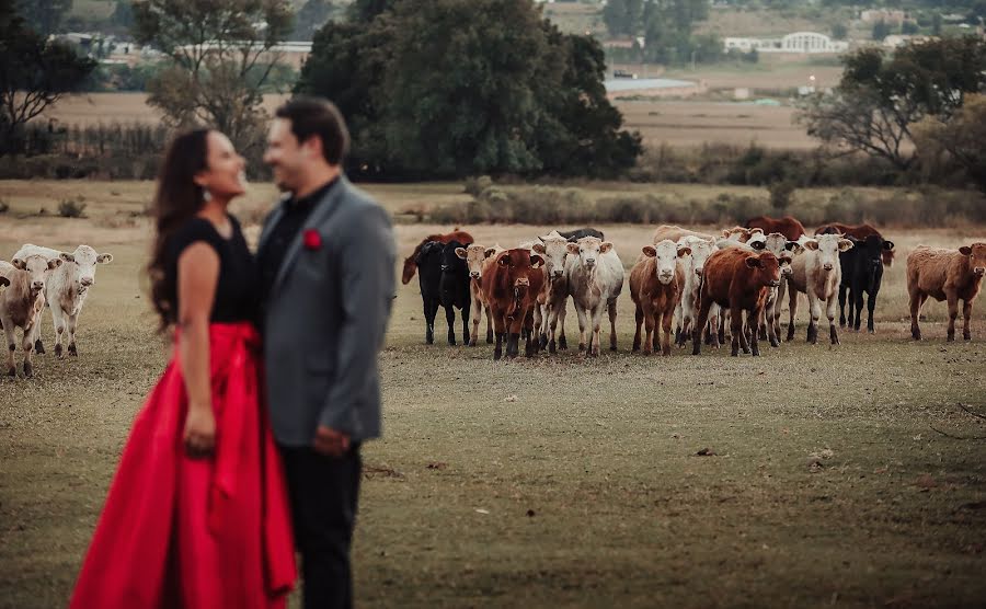 Wedding photographer Paloma Mejia (mejia). Photo of 27 November 2018