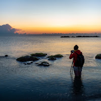 Caccia all'alba di 