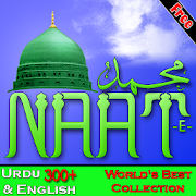 Naats 1.3 Icon