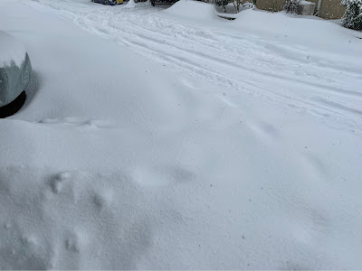 ++ 50 ++ 車 カバー 雪国 271974-車 カバー 雪国