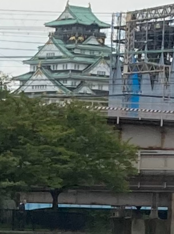 ウェイクの喜寿祝い・八軒屋浜・屋形船に関するカスタム事例の投稿画像7枚目