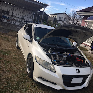 CR-Z ZF1