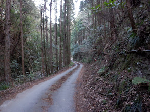 林道曲尾線を進む