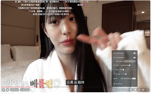YouTube Danmaku screenshot 2