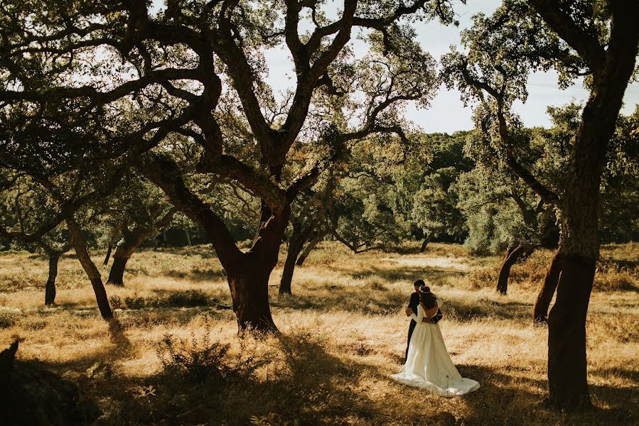 Fotógrafo de bodas Roberto Pecino (robertopecino). Foto del 8 de diciembre 2016