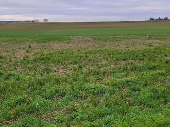 terrain à Champigny en Rochereau (86)