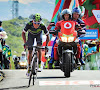 Van Avermaet schittert in Ronde van Zwitserland, zege is wel voor concurrent van ploegmaat