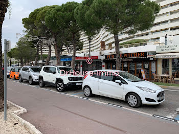 locaux professionnels à Villeneuve-Loubet (06)