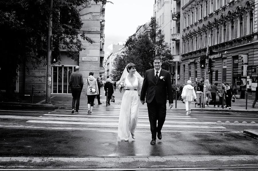 Photographe de mariage Katalin Horváth (katalinhorvath). Photo du 10 janvier 2023