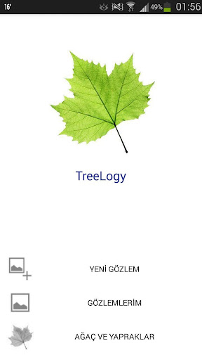 TreeLogy