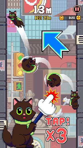 Screenshot Cat Jump