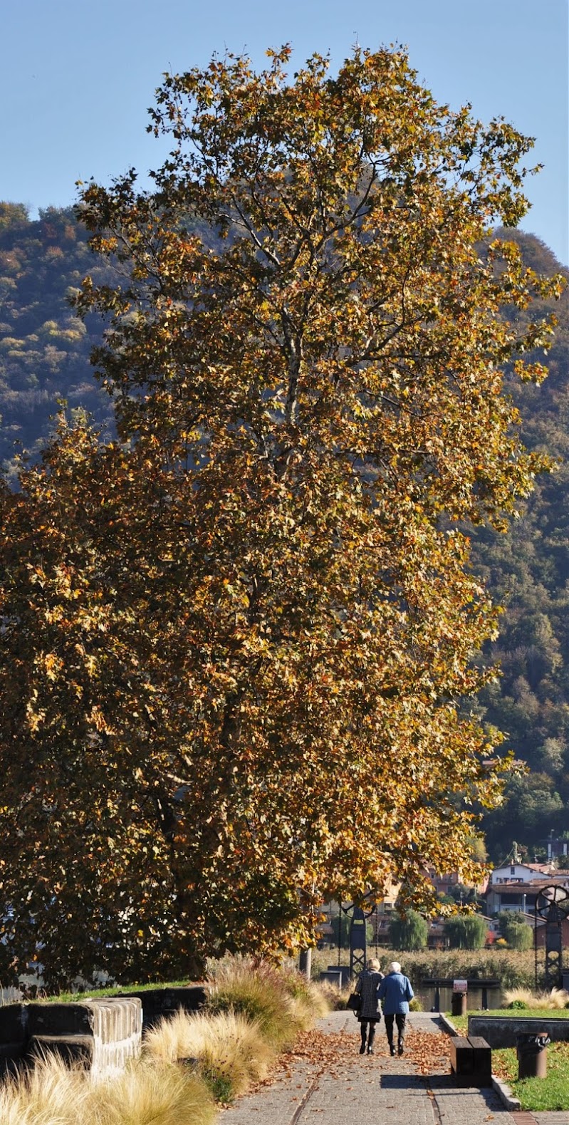 avvisaglie d'autunno di Dario Marzanni