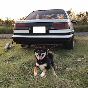 カローラレビン AE86