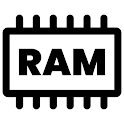 Device RAM Memory