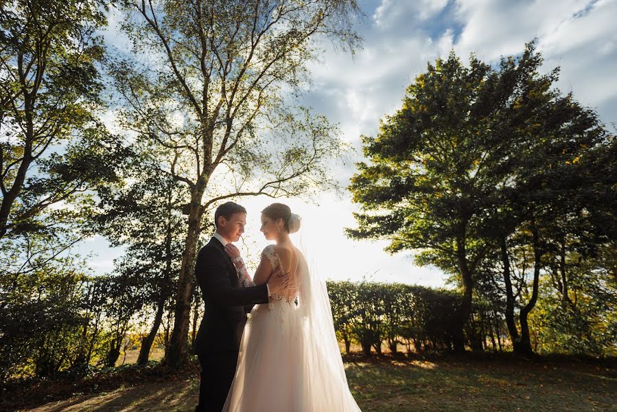 Fotografo di matrimoni Anna Alekseenko (alekse). Foto del 21 ottobre 2019