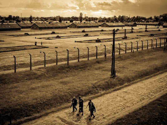 Auschwitz di Cenati Gino