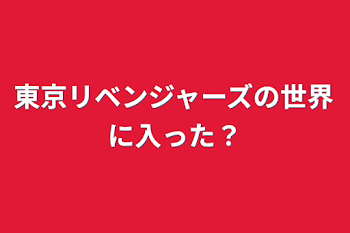 東京リベンジャーズの世界に入った？