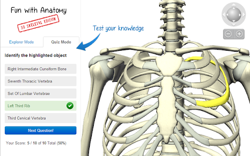 Fun with Anatomy: 3D Skeletal Edition