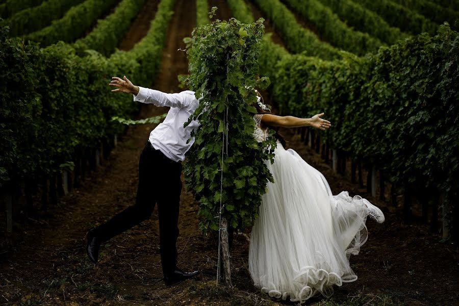 Fotografo di matrimoni Sabina Mladin (sabina). Foto del 20 settembre 2016