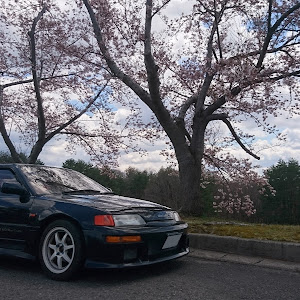 インテグラ DC5