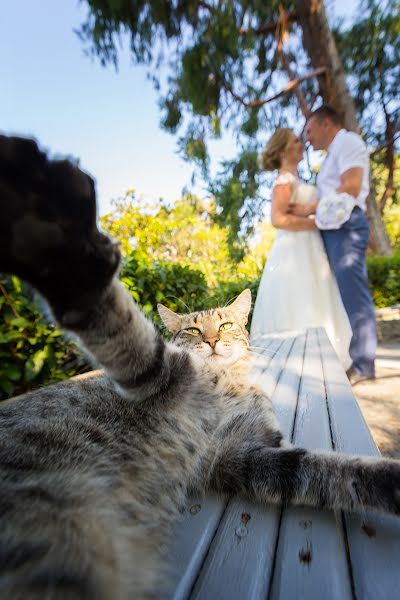 Fotógrafo de casamento Sergey Titov (titov). Foto de 16 de fevereiro 2020