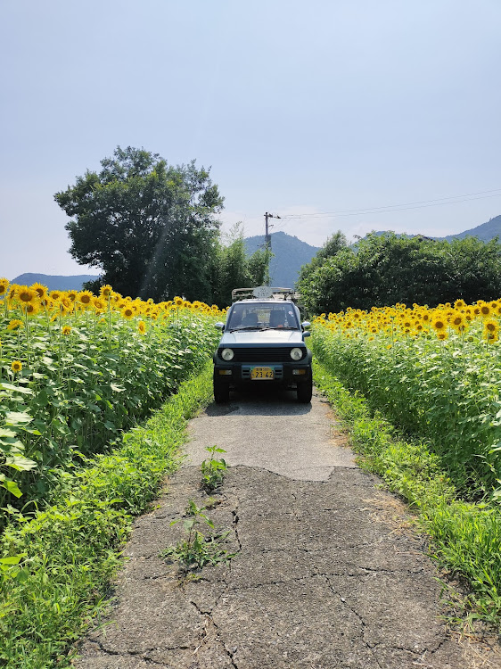 パジェロミニのパジェロミニのある生活・ひまわり畑🌻・愛媛散歩に関するカスタム事例の投稿画像4枚目