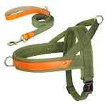 Green 2 Set