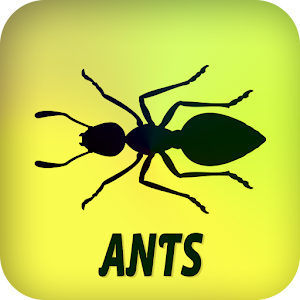 Ants.apk 1.0