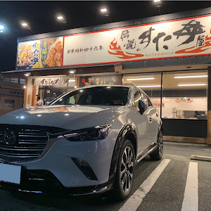 CX-3 DK8FW