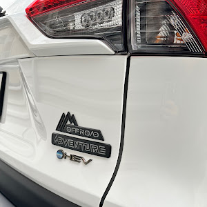 RAV4 AXAH54