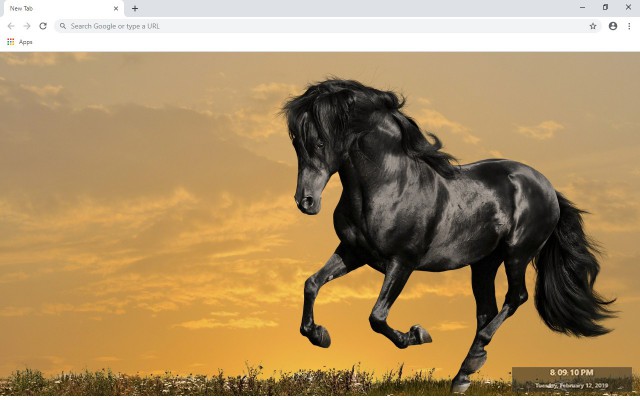 Horse New Tab & Wallpapers Collection