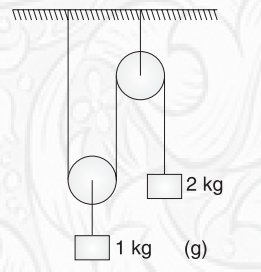 Free-Body Diagrams - FBD