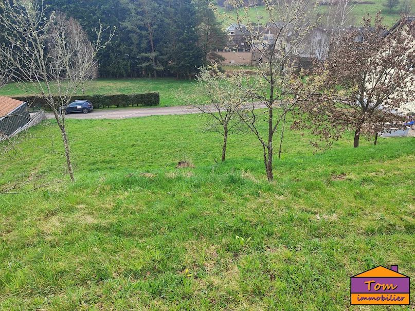 Vente terrain à batir  980 m² à Walschbronn (57720), 37 000 €