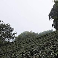 山上人家森林農場