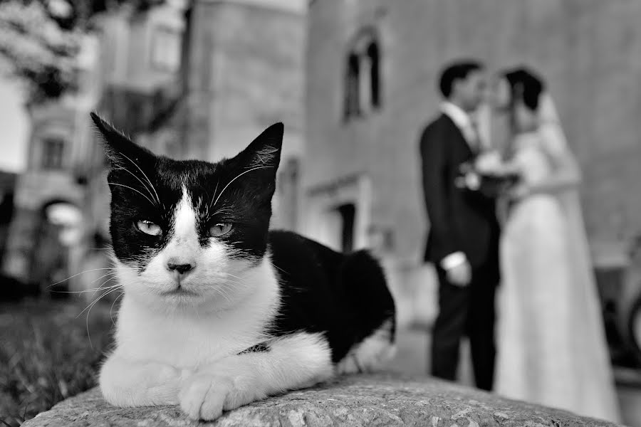 Wedding photographer Giuseppe Petix (petix). Photo of 16 April 2019