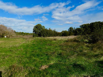 terrain à Pouzilhac (30)