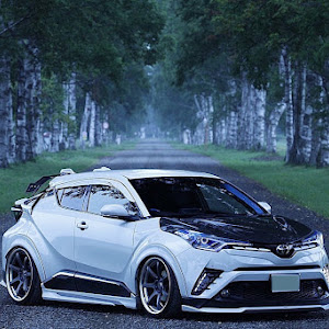 C-HR NGX50