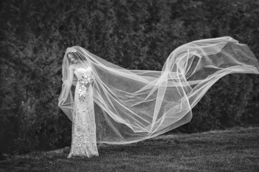 Fotógrafo de casamento Andrey Shestakov (shestakovstudio). Foto de 12 de junho 2017