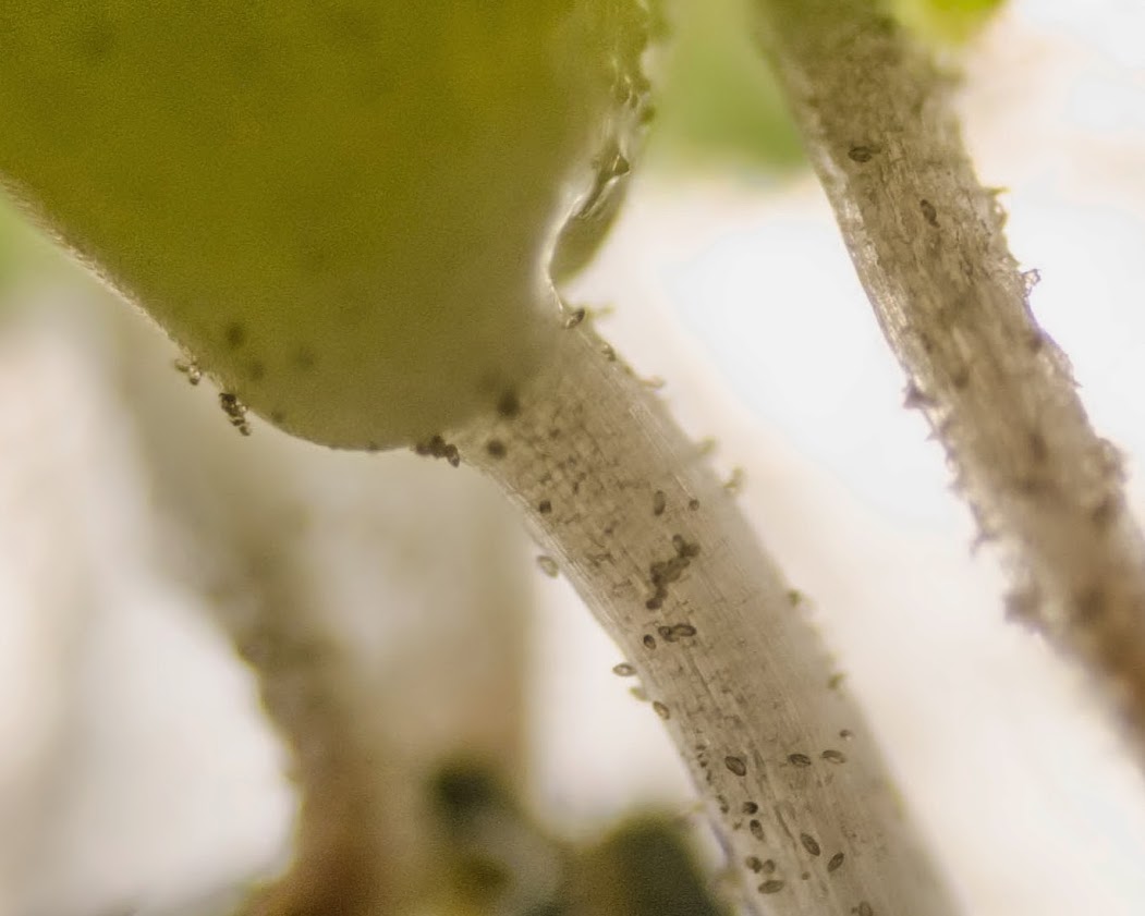 pSjjg1--lc224nXwSCXTXeaXGm_DISb2oTSXkYYlxt4=w1051-h841-no