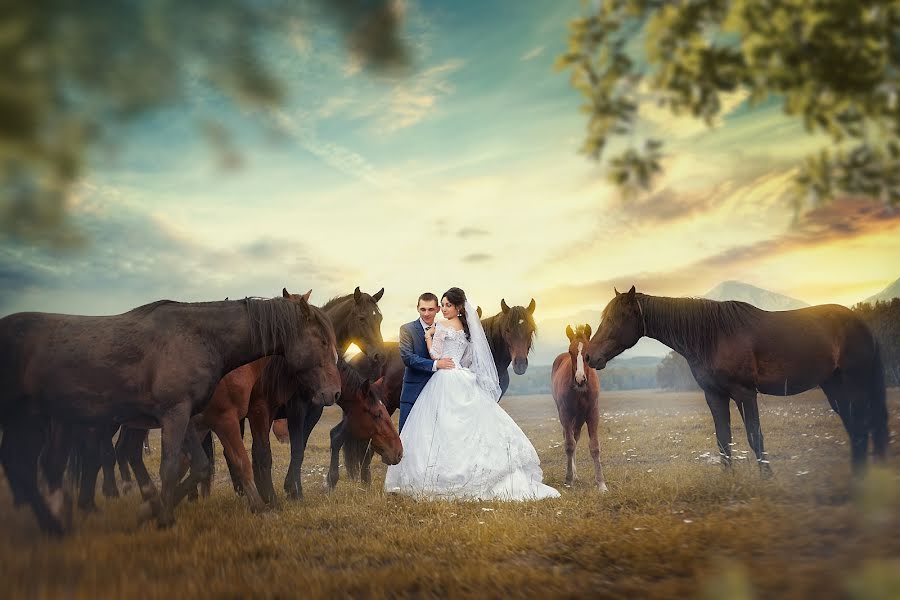 Düğün fotoğrafçısı Olga Tur (tuur). 7 Nisan 2016 fotoları