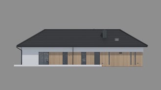 New House 725 w1 - Elewacja prawa