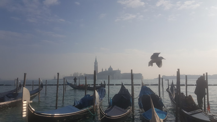 Venezia di beatrice_bianconi