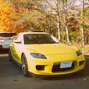 RX-8 SE3P