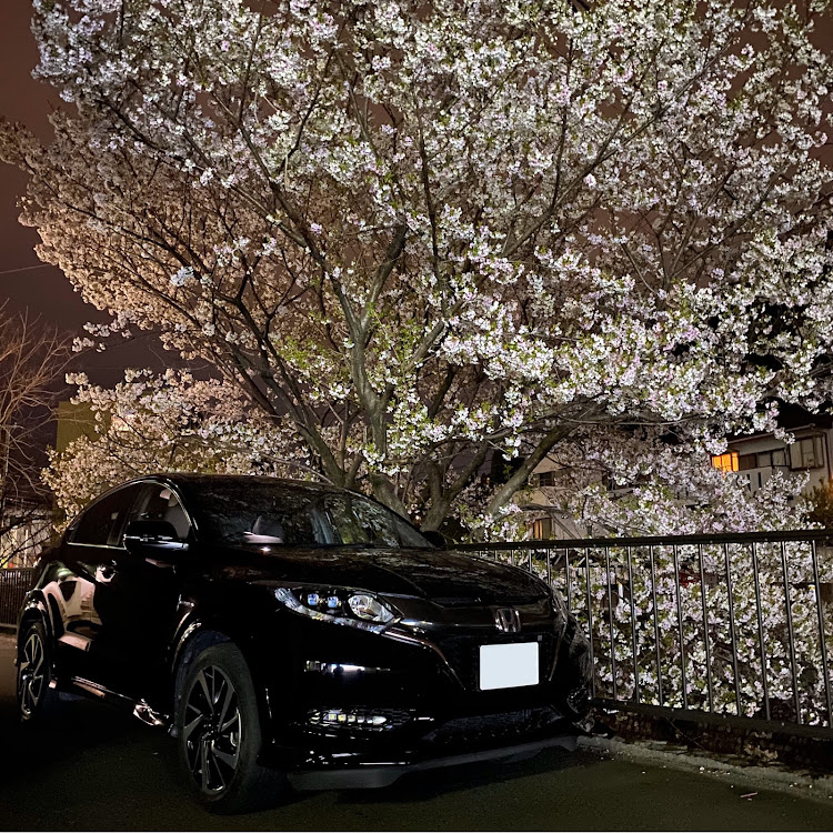 ヴェゼルの夜桜と愛車・夜桜コラボ・夜桜・ノーマルに関するカスタム事例の投稿画像1枚目