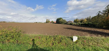 terrain à Avesnes-le-Sec (59)