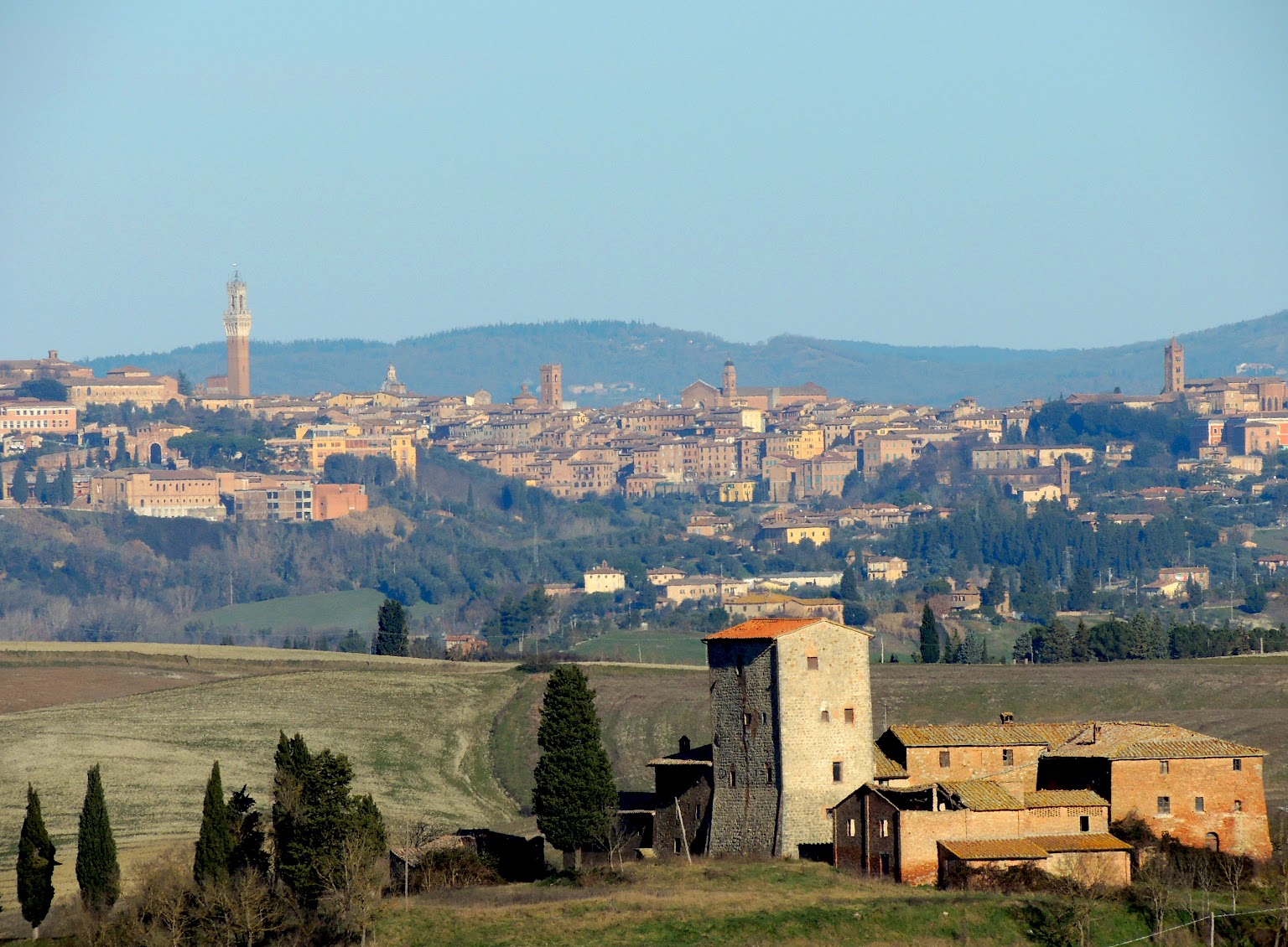 Poggio ai Frati e Siena sul sfondo, Monteroni d'Arbia