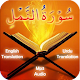 Surah Naml Download on Windows