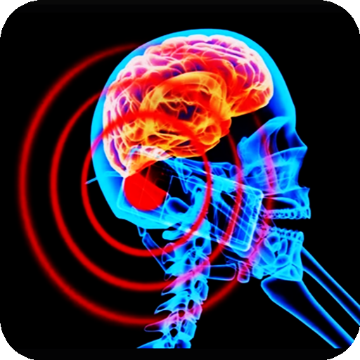 The human body in 3D. Human anatomy